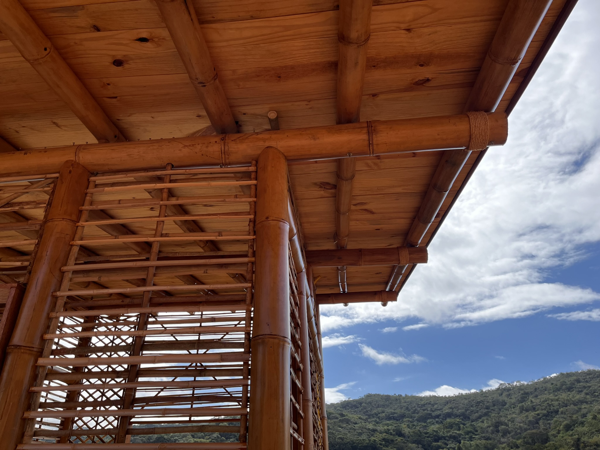 Baixo custo de construção com bambu