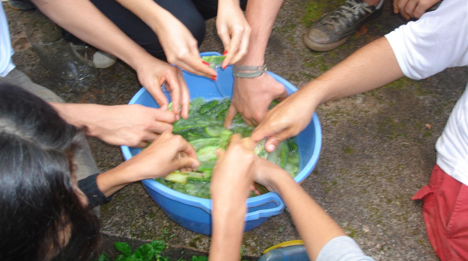 Revestimentos naturais e ecológicos